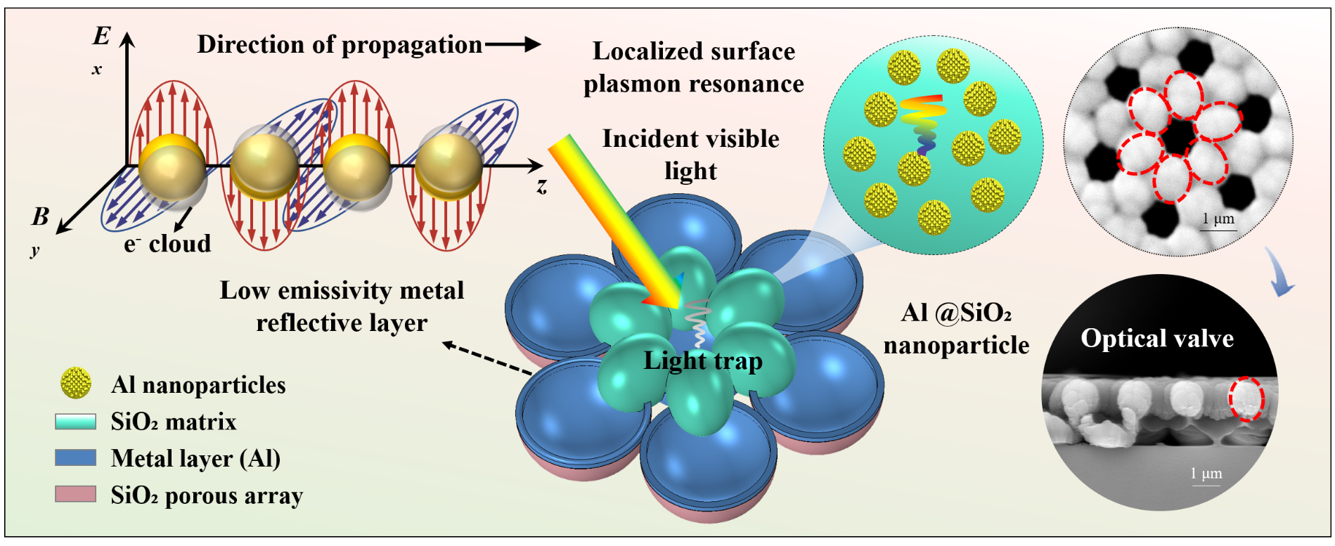 Graphical Abstract.png
